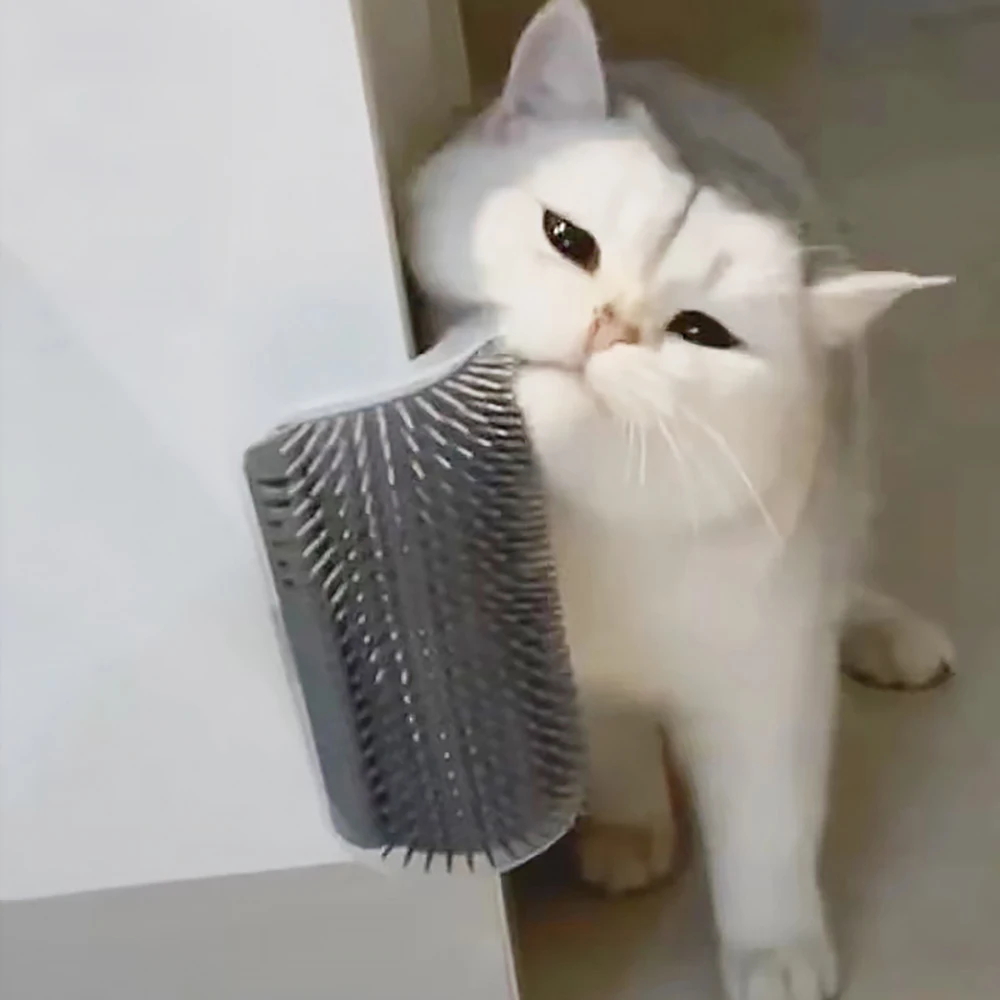 Best-selling Item Massager for - Hair Care Good Hair review and price