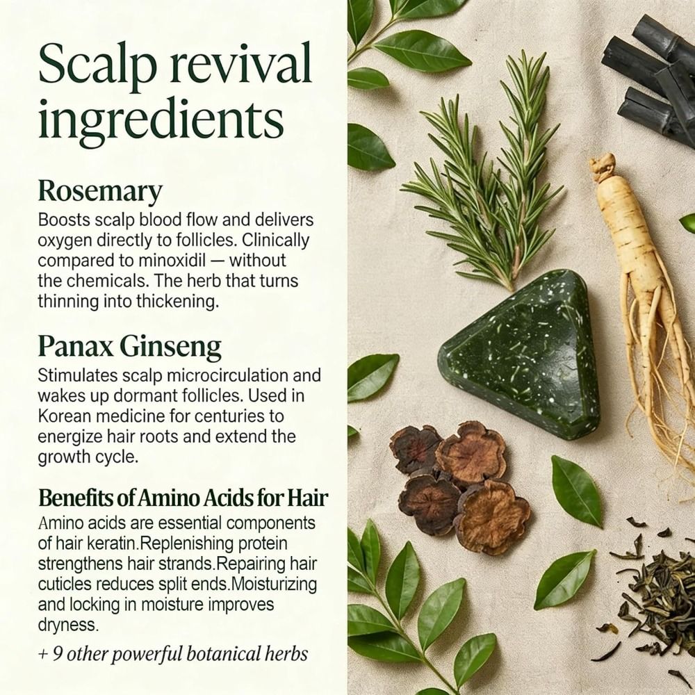 Rosemary Amino Acid Korean Sca - Hair Care Korean review and price